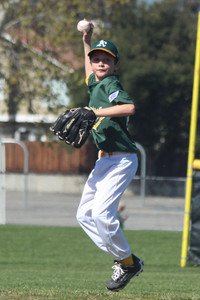 IMG_9763.jpg