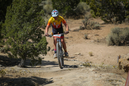 BF0T6337.jpg