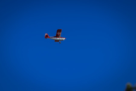 BF0T3252.jpg