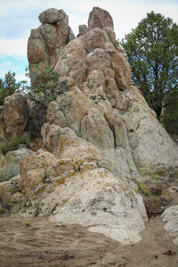 BF0T6877.jpg