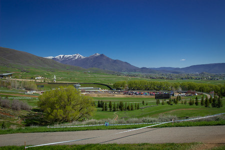 IMG_2448.jpg