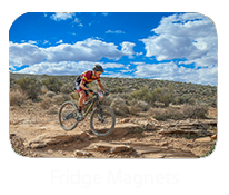 fridge-magnets.png