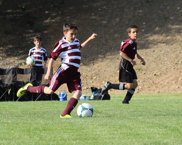 IMG_8703.jpeg