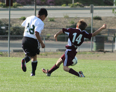 IMG_8782.jpeg