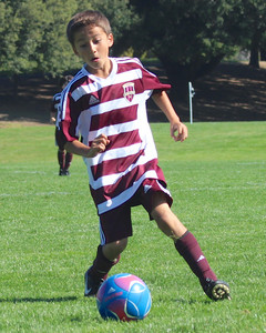 IMG_7436.jpg