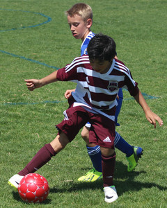 IMG_7148.jpg