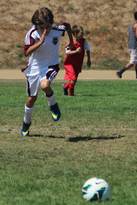 IMG_3378.jpg