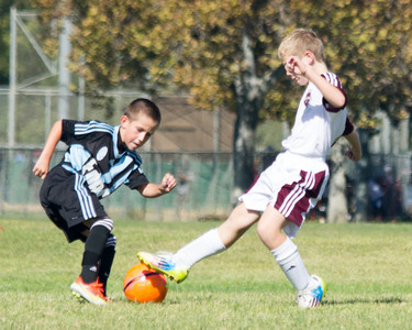 IMG_4584.jpg