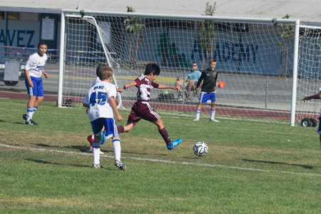 IMG_3899.jpg