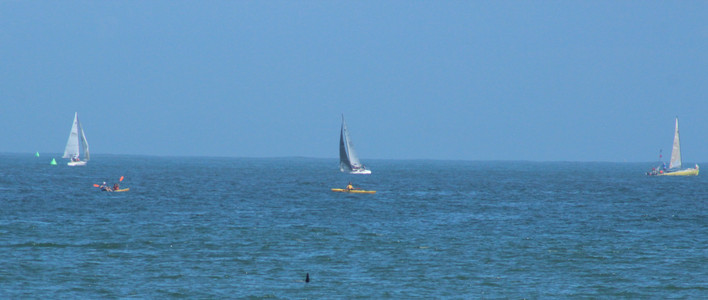 IMG_6546.jpg