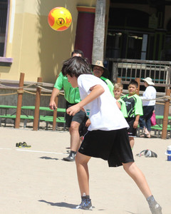 IMG_6195.jpg