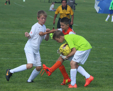 IMG_2823.jpg