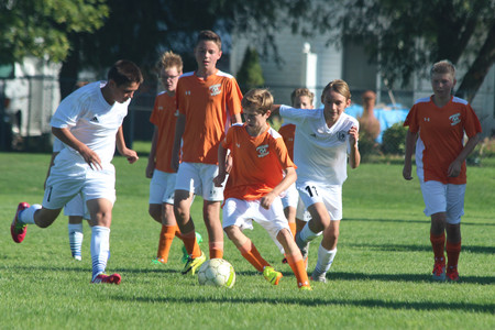 IMG_2420.jpg