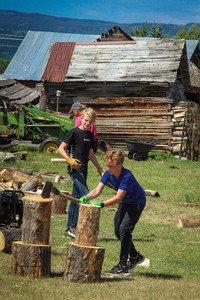 IMG_2625.jpg