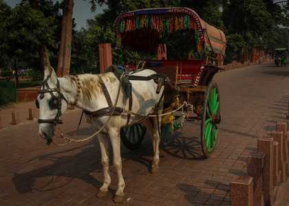 IMG_1885-Edit.jpg