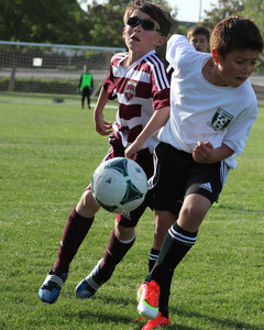 IMG_8831.jpeg