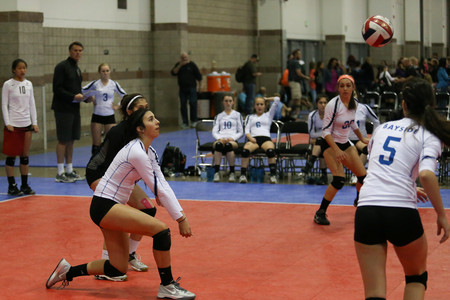BF0T3090.jpg