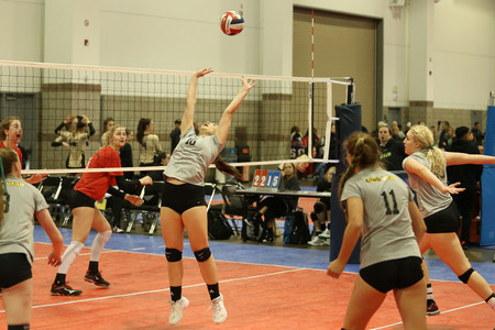 BF0T2279.jpg