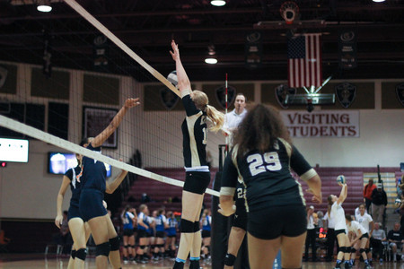 IMG_7080.jpg
