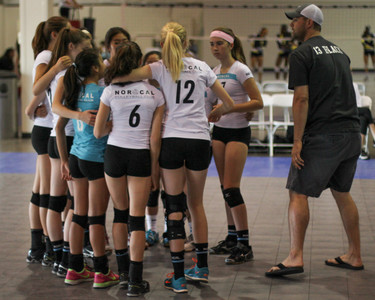 IMG_8239.jpg