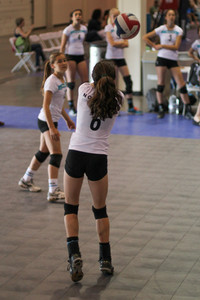 IMG_8283.jpg