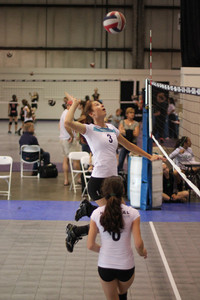 IMG_8462.jpg