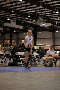 IMG_8686.jpg