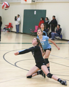 IMG_8723.jpg