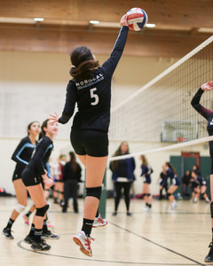 IMG_8863.jpg