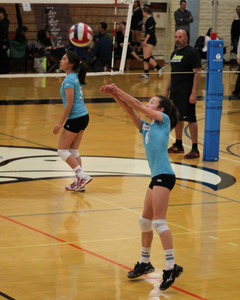 IMG_2990.jpg
