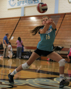 IMG_3589.jpg