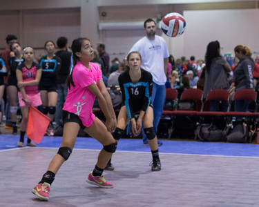 IMG_0208.jpg