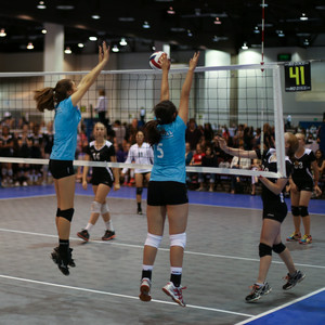 IMG_7835.jpg