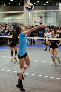 IMG_7879.jpg