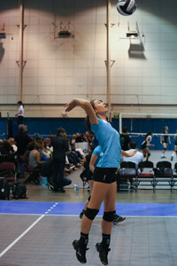 IMG_8320.jpg