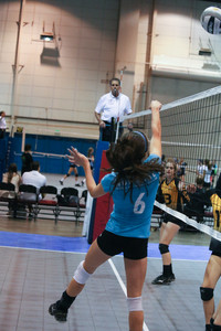 IMG_8331.jpg