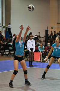 IMG_8389.jpg