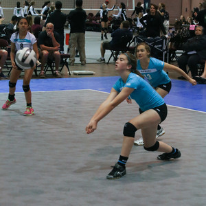 IMG_8594.jpg