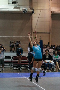 IMG_8597.jpg