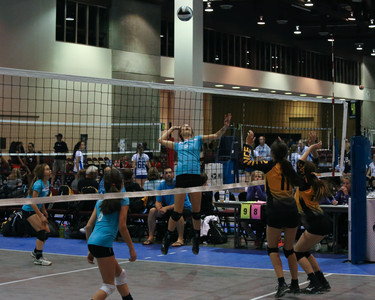 IMG_8932.jpg