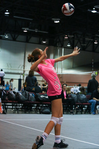 IMG_9445.jpg