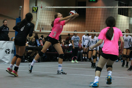 IMG_9460.jpg
