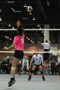 IMG_9735.jpg