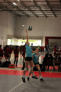 IMG_4385.jpg