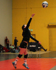 IMG_4607.jpg