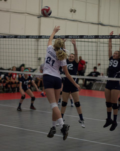 IMG_5378.jpg
