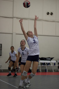 IMG_5468.jpg