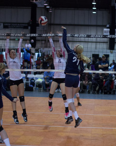 IMG_5799.jpg