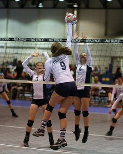 IMG_9153.jpg