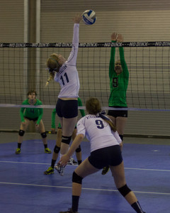 IMG_6085.jpg